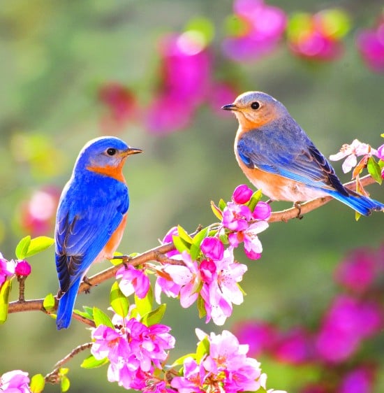 Tutti i prodotti 🌺